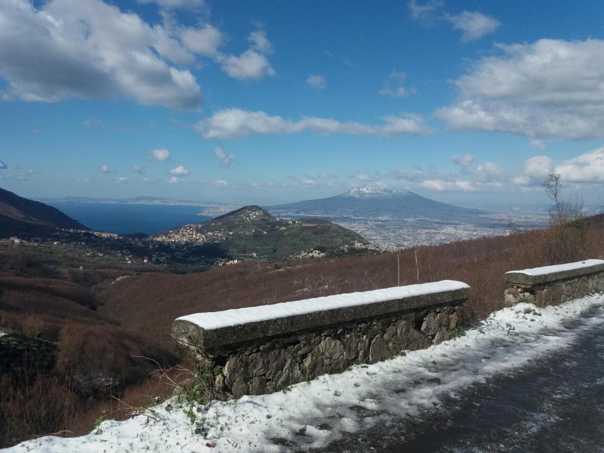 Il Ceppo Sui Sentieri Per Amalfi Bed and Breakfast Pimonte Eksteriør billede